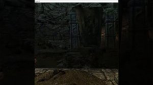 skyrim vr gameplay p40 not recorded for VR playback.