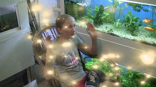 Экскурсия по зоопарку / Контактный зоопарк / Кормим и гладим диких животных на канале СУМИКИ смотреть онлайн