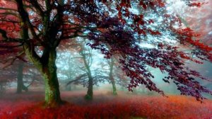 "Autumn Leaves" by Richard Clayderman (Piano Instrumental Music)