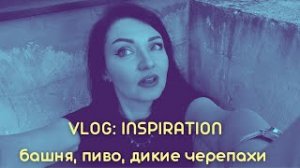 VLOG: Башня завода Муссон, бездомные черепахи, много интеллектуалов в пивной