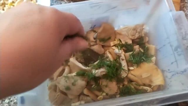 Лучший рецепт маринованных груздей!!!