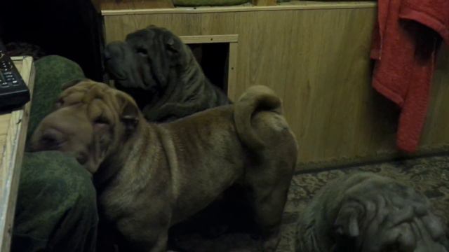 после вкусного обеда ..) 1 смотреть онлайн