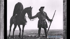 Чей ты конь