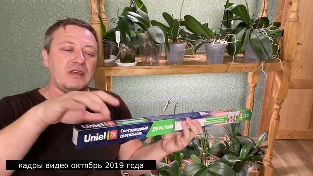 ОРХИДЕИ ОСВЕЩЕНИЕ светильники и стеллажи для орхидей и когда отключать подсветку ОРХИДЕЯМ смотреть онлайн