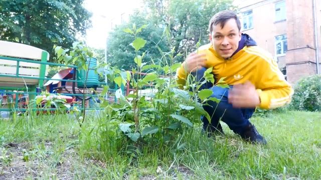 Человек Паук и машинки в песочнице - Видео для мальчиков смотреть онлайн