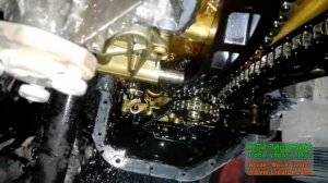 *Надежный двигатель*от VW AG,Проблемы с цепью на 74 000 КМ