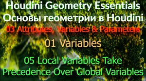 03_01_05 Local Variables Take Precedence Over Global Variables