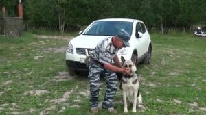 Команда "Нельзя" - демонстрация и пояснения