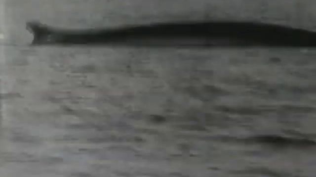 Mount Shasta - Aurelia смотреть онлайн