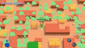 МОЙ НОВЫЙ СКИН!!! Забрал ПАЙПЕР CHOCO на Аккаунт КОЛЛЕКЦИОНЕР в Brawl Stars