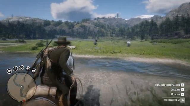 Всадник 10 Укротите все виды диких лошадей ? RDR2