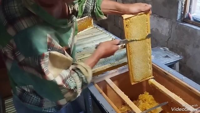 И снова качаем мёд!!! смотреть онлайн