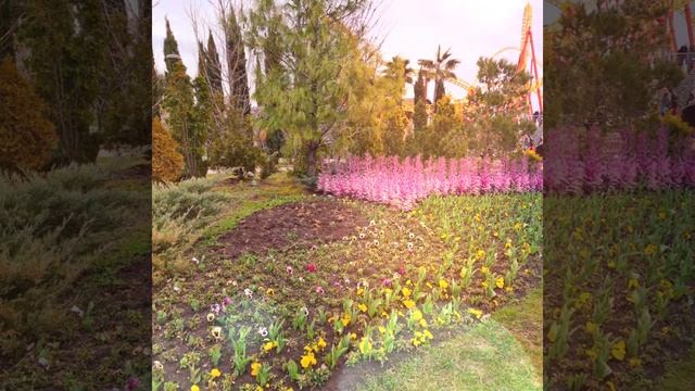 Прогулка в Сочи парке 22.03.2021г. смотреть онлайн