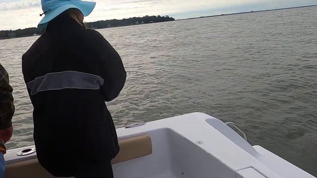 SAVANNAH GEN TROUT смотреть онлайн