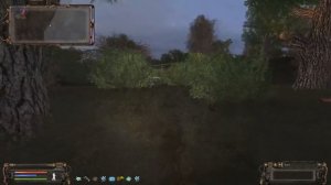 ВСТРЕТИЛ МЕДВЕДЕЙ В ЗАБЫТОМ ЛЕСУ. S.T.A.L.K.E.R. НАРОДНАЯ СОЛЯНКА 2016 #9