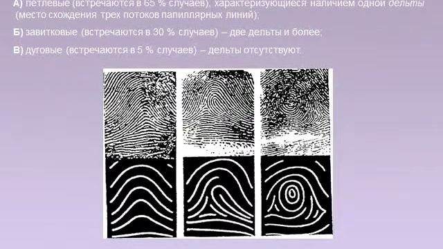 Презентация Дактилоскопия