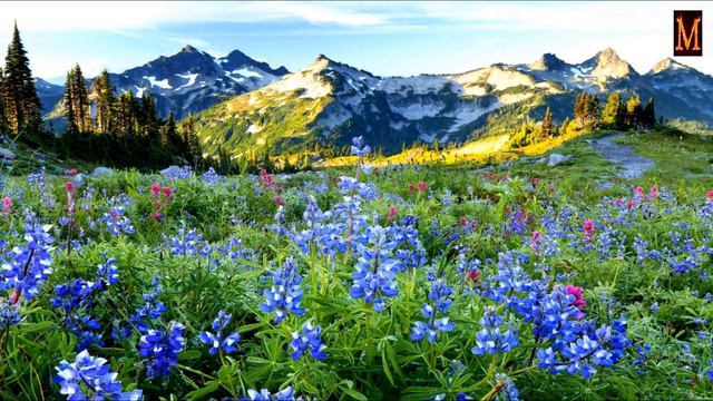 Что такое ЛЮБОВЬ И СВОБОДА…?! смотреть онлайн