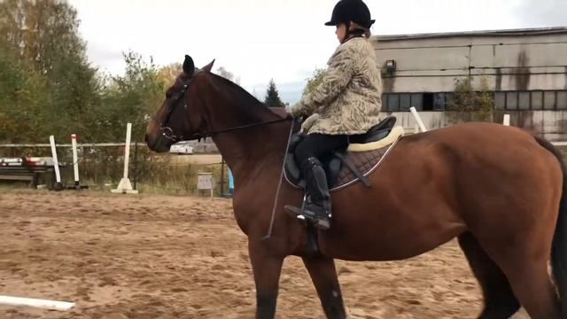 ✨Влог ?Конная тренировка с ученицей Машей смотреть онлайн