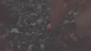 Большая Ставрида на ЧЕРНОМ МОРЕ