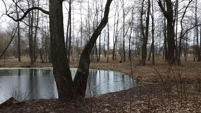 Прогулка в парке под дождем. Релакс. Иолла.