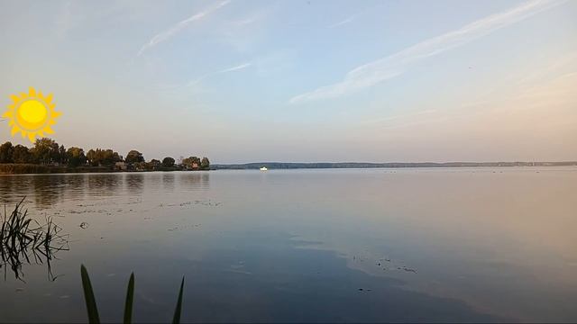 Relax. Угощаю рыбок хлебушком ? Поют птички