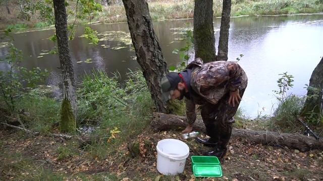 Ловля Щуки на живца в Лесной речке смотреть онлайн
