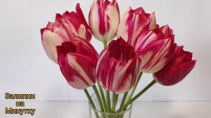 Как распускаются цветы / Тюльпаны