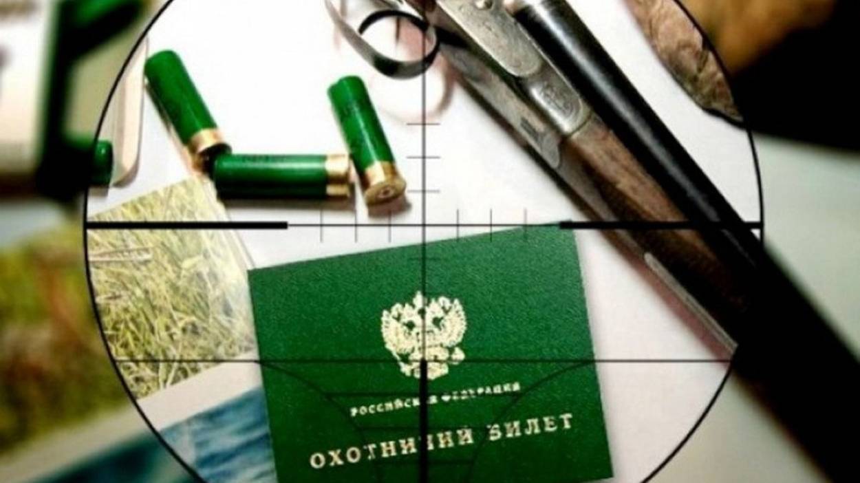 тест