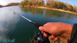 Ловля плотвы на фидер. Поиск перспективных мест.Как успешно ловить на ФИДЕР на сильном течеии!