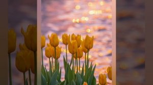 Характеристика человека рождённого 13 мая