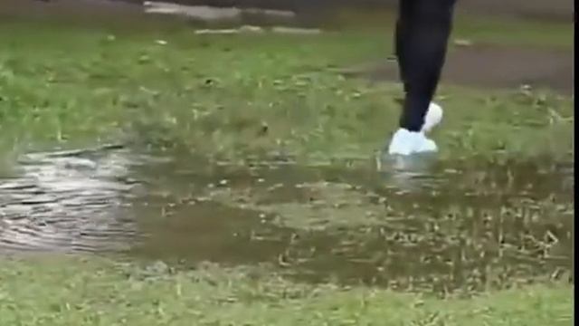 Силиконовые водонепроницаемые чехлы для обуви смотреть онлайн