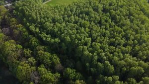 Одоев, Тульская область