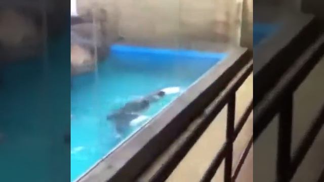 Дети & Рыбы ...да ~.~ смотреть онлайн