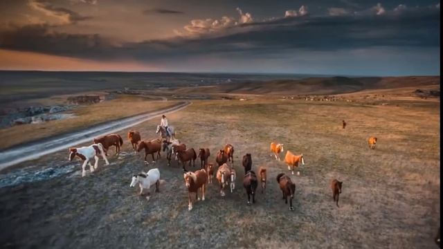 "Песнь Распевная" Сл. и муз. Стаса Назарова, *ДоброМир* Поет автор!