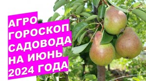 Агрогороскоп садовода на июнь 2024 года Gardener's agrohoroscope for June 2024