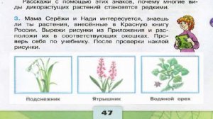 Окружающий мир. Рабочая тетрадь 3 класс 1 часть. ГДЗ стр. 47 №3