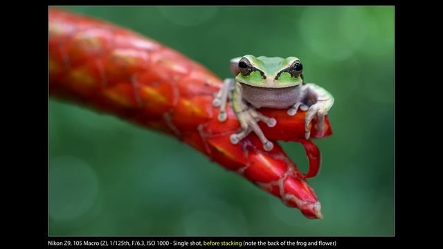 Nikon Z9: Features That Really Crank Up The Keeper Rate! смотреть онлайн