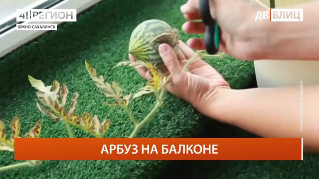 •ДАЛЬНИЙ ВОСТОК БЛИЦ• 10.10.2022 г. смотреть онлайн