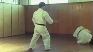Бункай Сисотин ката, Годзю рю карате до