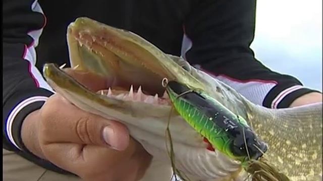 Рыболов-Эксперт. Ловля щуки на поверхностные приманки (часть 2) смотреть онлайн