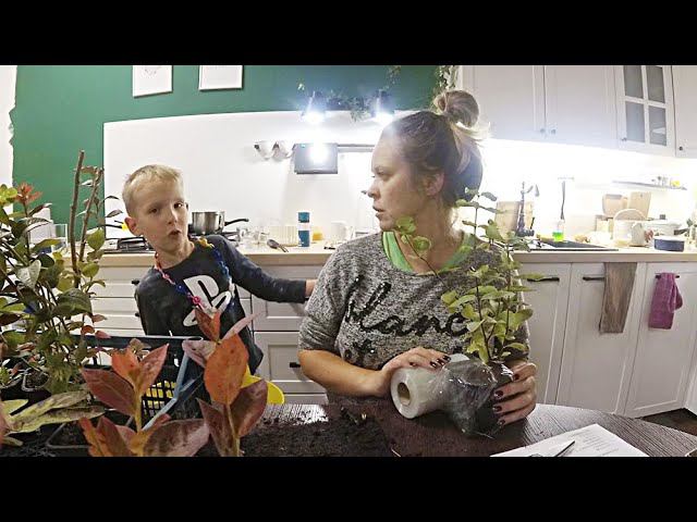 Первые впечатления от сельской школы / Жизнь в деревне смотреть онлайн