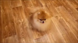 Какой же я милый! Какой же я клевый!