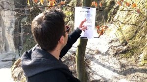 Скалы Бастай на карантине | Саксонская Швейцария | Германия