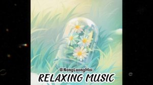 nhạc không lời giúp bạn thư giản sau ngày dài mệt mỏi // RELAXING MUSIC #3