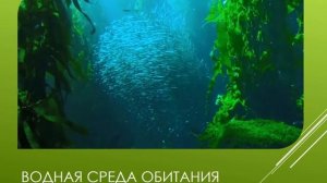 Природоведение 5 класс Среда обитания организмов наземно воздушная и водная