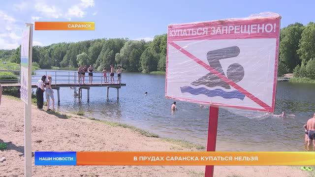 В прудах Саранска купаться нельзя