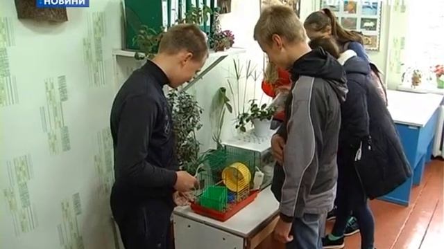 Вчитель-радіоаматор із села Кувечичі Чернігівського району самотужки оснастив школу комп’ютерами