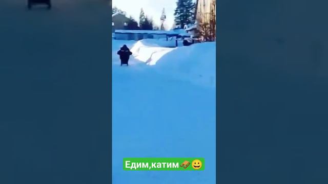 Как вам такие катания? 🛷😀 Лайк, подписка👍😀🤝