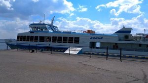 Турбаза "Пять морей" в посёлке Пятиморск Волгоградской области. Тематические аллеи парка.