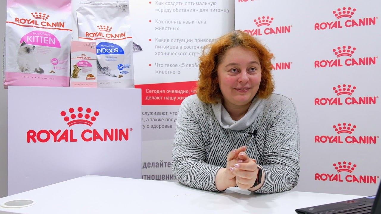 «РосКош» - «От еды до компаньона»
